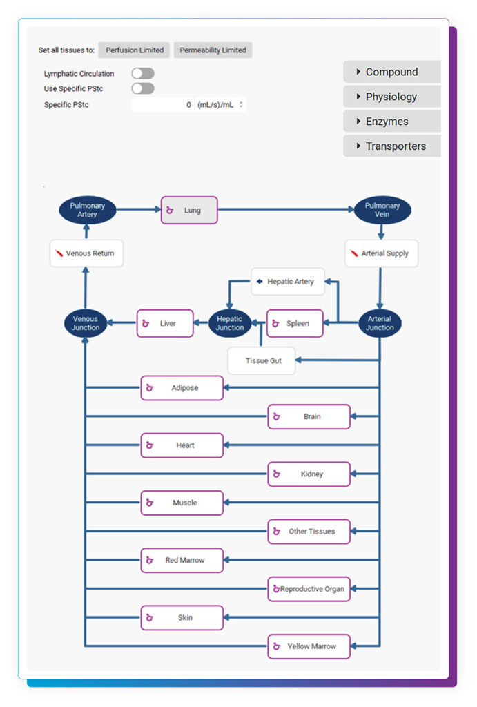 A PBPK simulation diagram showcases organ interactions with GastroPlus visualizing blood flow.