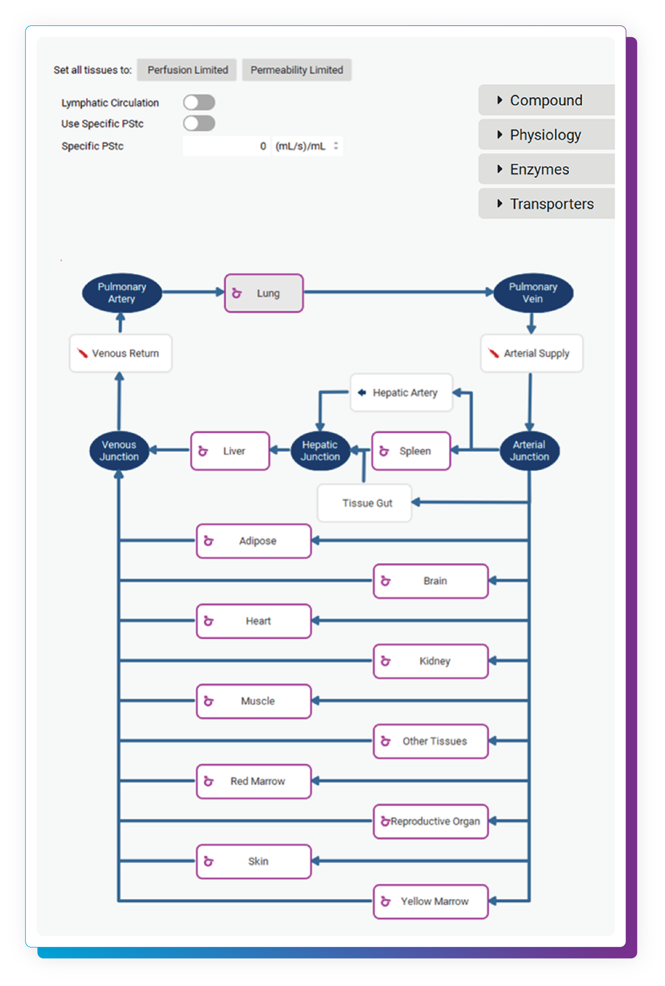 A PBPK simulation diagram showcases organ interactions with GastroPlus visualizing blood flow.