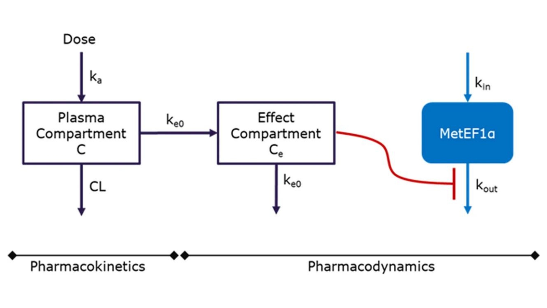 Preclinical Pharmacokinetics and Translational Pharmacokinetic ...