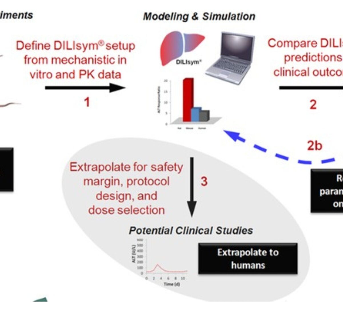 Prediction of Safety Margin and Optimization of Dosing Protocol for a Novel Antibiotic using Quantitative Systems Pharmacology Modeling