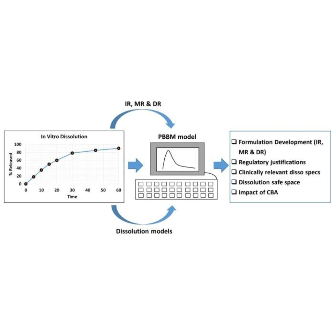 Best Practices for Integration of Dissolution Data into Physiologically Based Biopharmaceutics Models (PBBM): A Biopharmaceutics Modeling Scientist Perspective